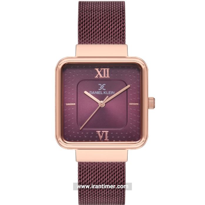قیمت و خرید ساعت مچی زنانه دنیل کلین(Daniel Klein) مدل DK.1.12537-6 کلاسیک | اورجینال و اصلی