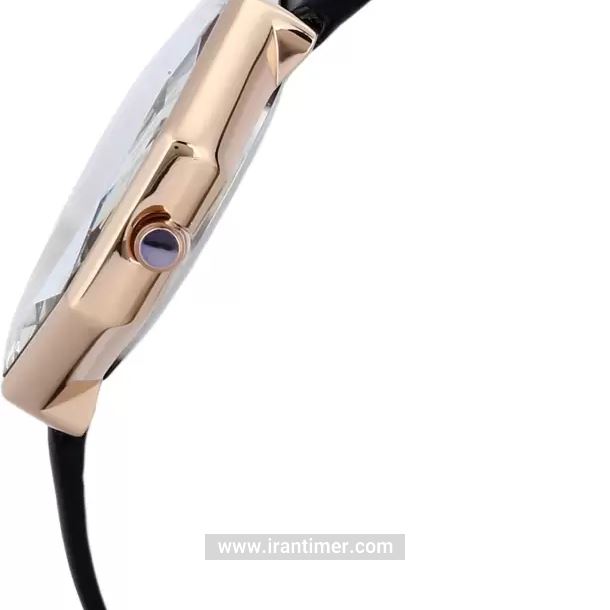 قیمت و خرید ساعت مچی زنانه دنیل کلین(Daniel Klein) مدل DK.1.12376-5 کلاسیک | اورجینال و اصلی