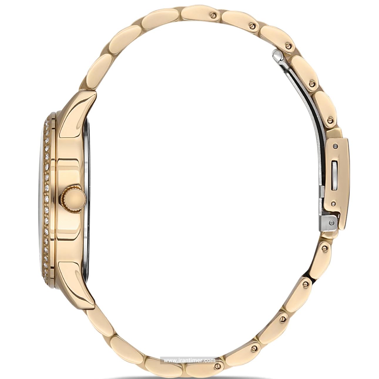 قیمت و خرید ساعت مچی زنانه دنیل کلین(Daniel Klein) مدل DK.1.12565-3 فشن | اورجینال و اصلی