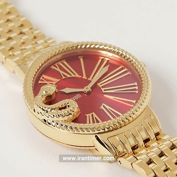 قیمت و خرید ساعت مچی زنانه روبرتو کاوالی‬‎(ROBERTO CAVALLI) مدل RV1L020M0091 کلاسیک | اورجینال و اصلی