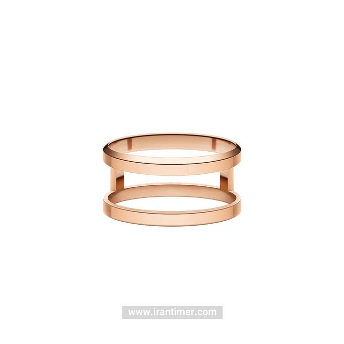 قیمت و خرید حلقه (انگشتر) زنانه دنیل ولینگتون(DANIEL WELLINGTON) مدل DW00400112 کلاسیک | اورجینال و اصلی