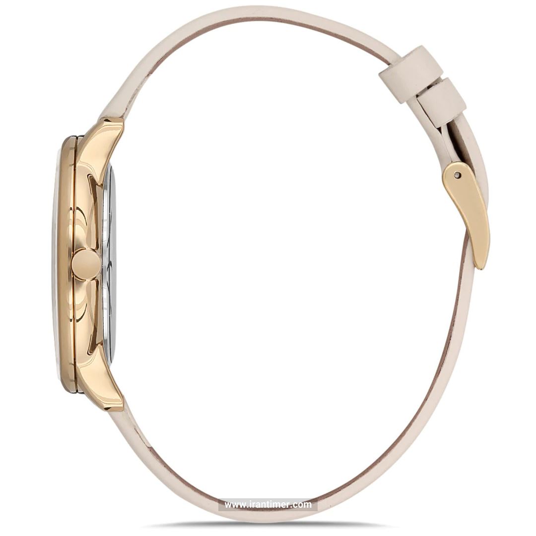 قیمت و خرید ساعت مچی زنانه دنیل کلین(Daniel Klein) مدل DK.1.12552-3 کلاسیک فشن | اورجینال و اصلی