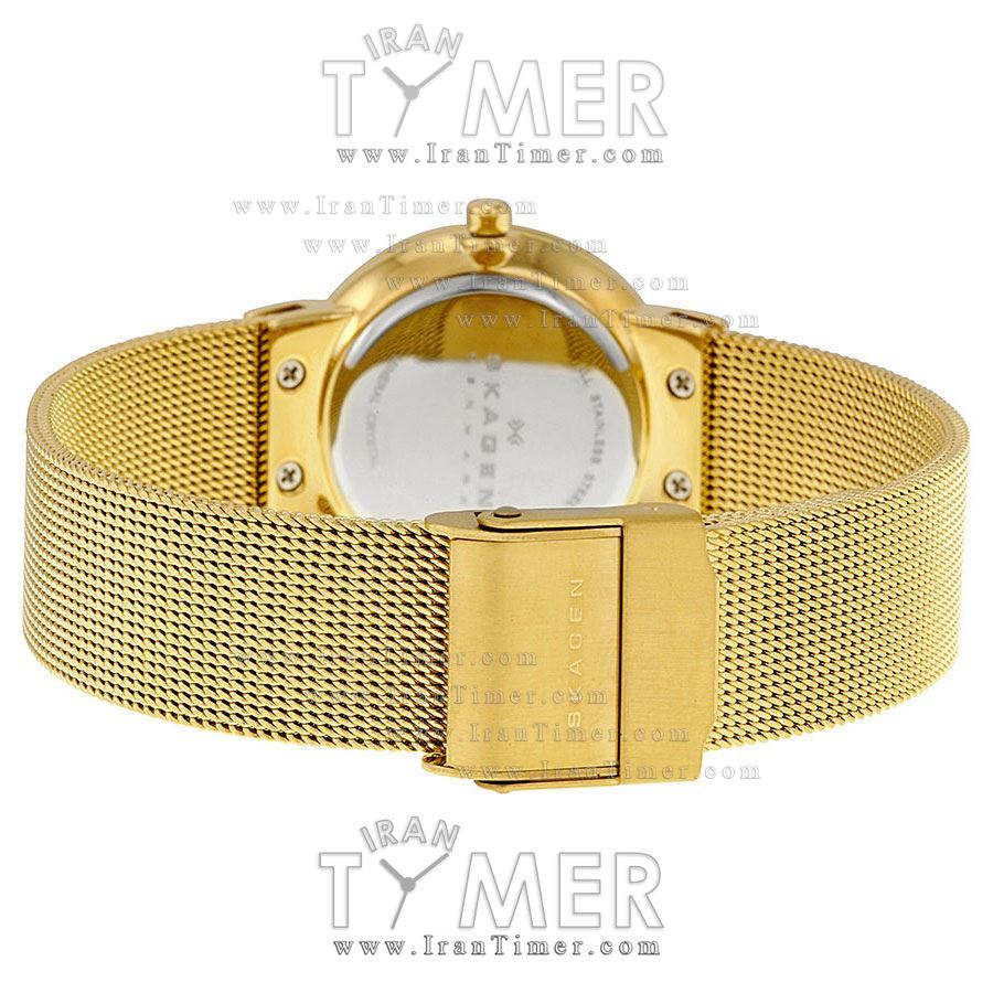 قیمت و خرید ساعت مچی زنانه اسکاگن(SKAGEN) مدل 358SGGD کلاسیک | اورجینال و اصلی
