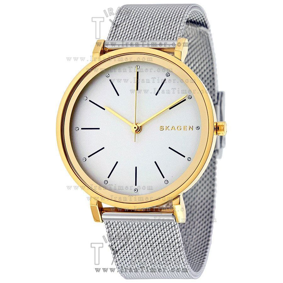 قیمت و خرید ساعت مچی زنانه اسکاگن(SKAGEN) مدل SKW2508 کلاسیک | اورجینال و اصلی