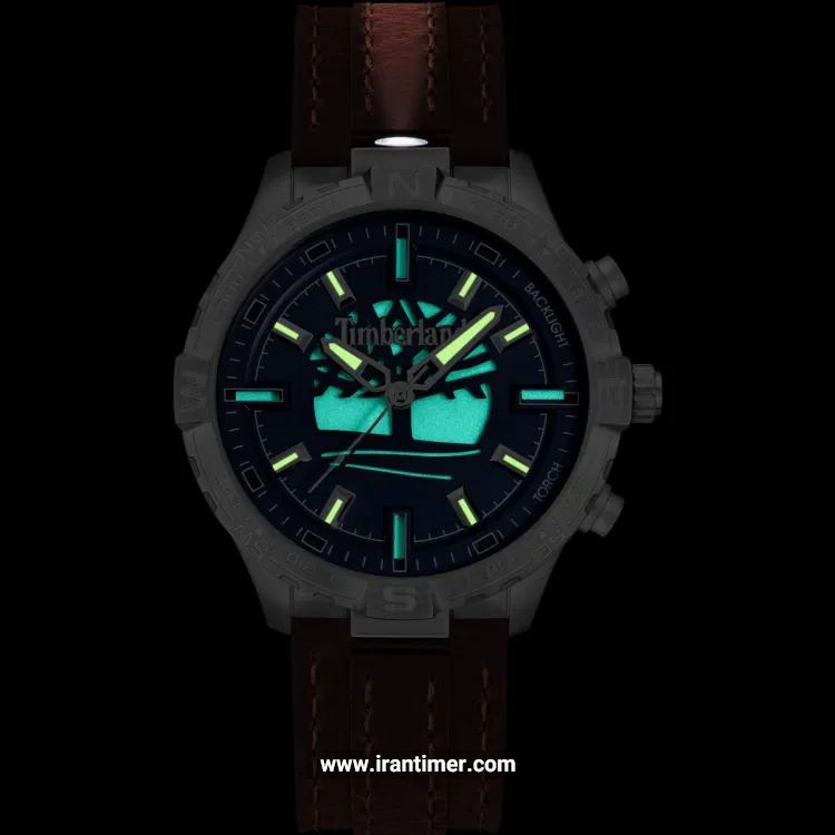 قیمت و خرید ساعت مچی مردانه تیمبرلند(TIMBERLAND) مدل TDWGD0031102 کلاسیک | اورجینال و اصلی
