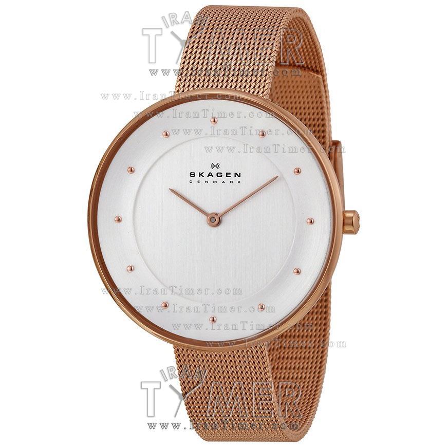قیمت و خرید ساعت مچی زنانه اسکاگن(SKAGEN) مدل SKW2142 کلاسیک | اورجینال و اصلی