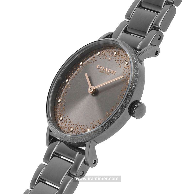 قیمت و خرید ساعت مچی زنانه کوچ(Coach) مدل 14503640 کلاسیک | اورجینال و اصلی