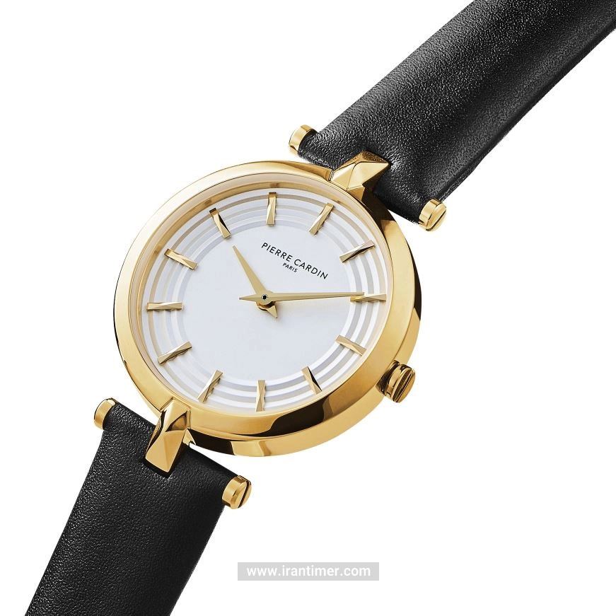 قیمت و خرید ساعت مچی زنانه پیر کاردین(PIERRE CARDIN) مدل CF.0701.LB کلاسیک | اورجینال و اصلی