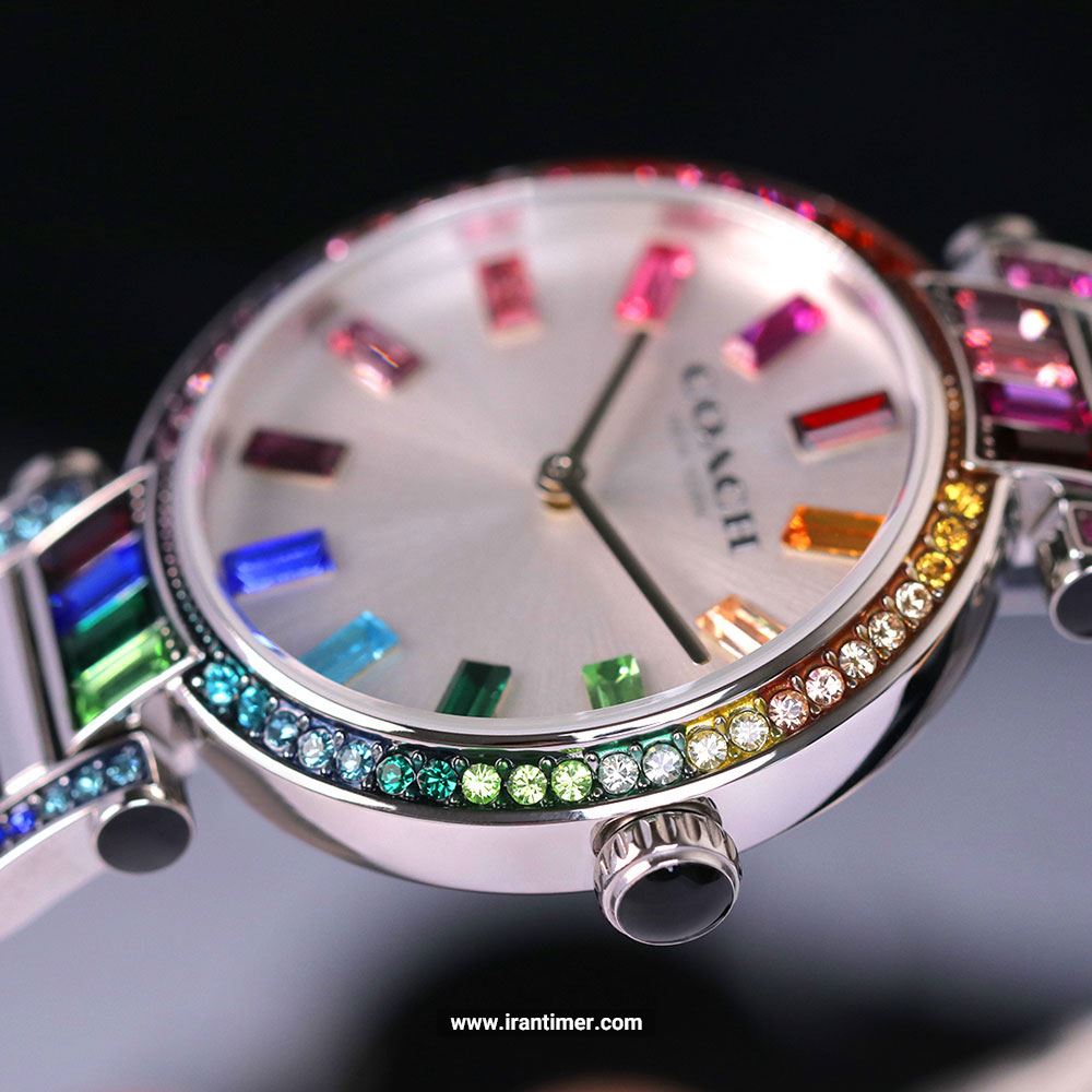 قیمت و خرید ساعت مچی زنانه کوچ(Coach) مدل 14503835 فشن | اورجینال و اصلی