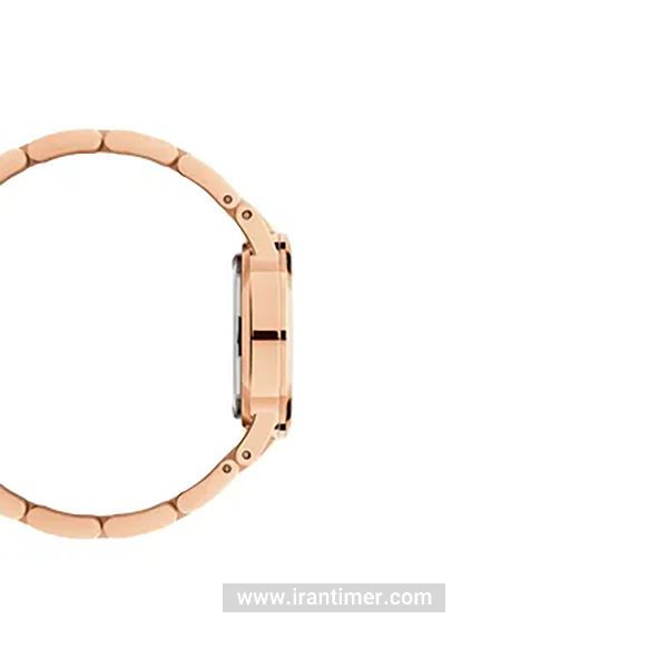 قیمت و خرید ساعت مچی زنانه دنیل ولینگتون(DANIEL WELLINGTON) مدل DW00100214 کلاسیک | اورجینال و اصلی