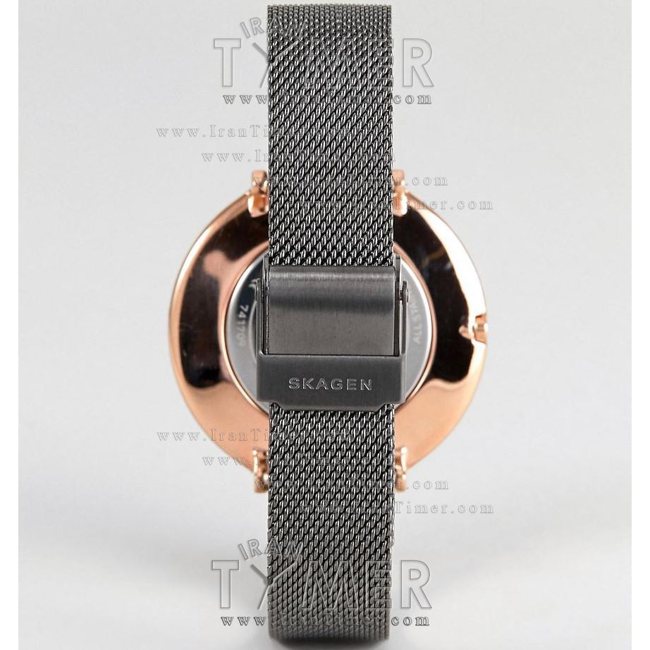 قیمت و خرید ساعت مچی زنانه اسکاگن(SKAGEN) مدل SKW2689 کلاسیک | اورجینال و اصلی