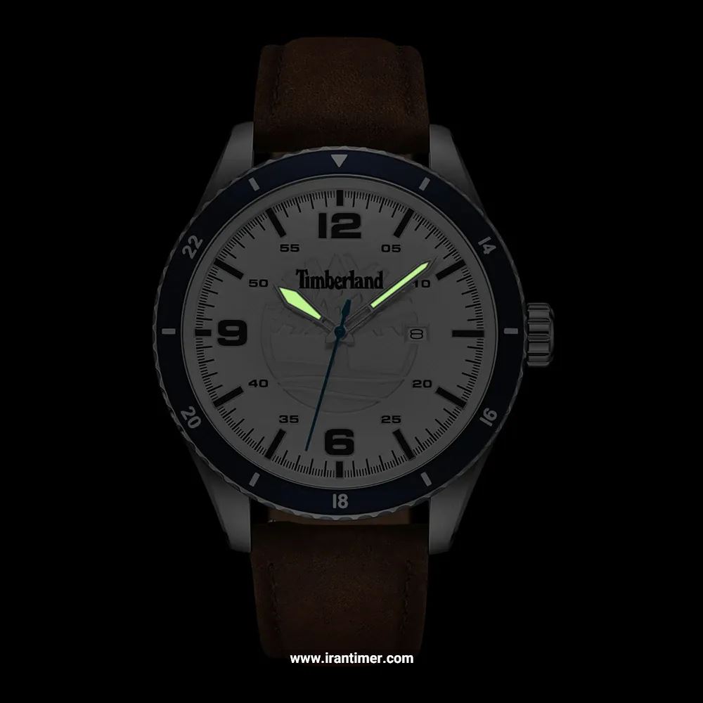 قیمت و خرید ساعت مچی مردانه تیمبرلند(TIMBERLAND) مدل TDWGB0010501 کلاسیک | اورجینال و اصلی