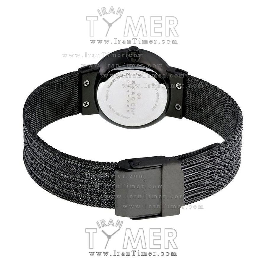 قیمت و خرید ساعت مچی زنانه اسکاگن(SKAGEN) مدل 355SMM1 کلاسیک | اورجینال و اصلی