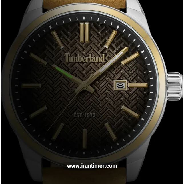 قیمت و خرید ساعت مچی مردانه تیمبرلند(TIMBERLAND) مدل TDWGB0054901 کلاسیک | اورجینال و اصلی