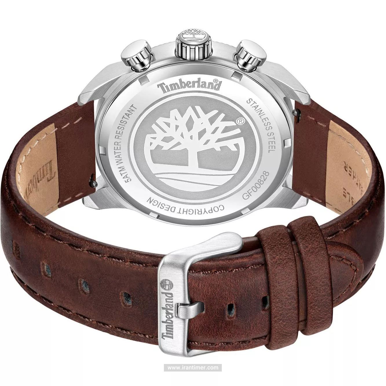 قیمت و خرید ساعت مچی مردانه تیمبرلند(TIMBERLAND) مدل TDWGF0082802 کلاسیک | اورجینال و اصلی