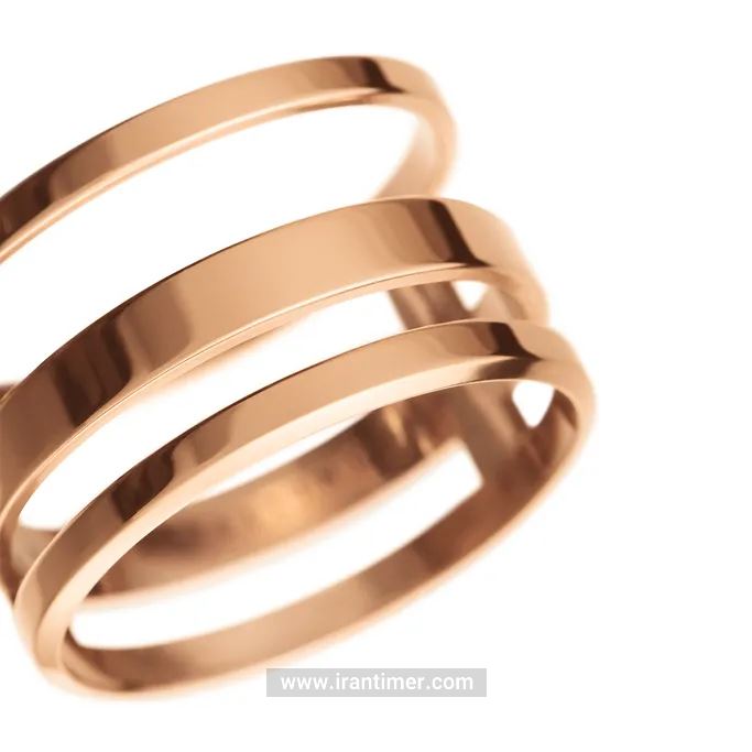 قیمت و خرید حلقه (انگشتر) زنانه دنیل ولینگتون(DANIEL WELLINGTON) مدل DW00400126 کلاسیک | اورجینال و اصلی