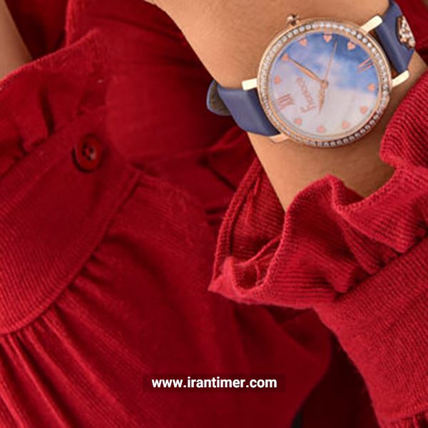 قیمت و خرید ساعت مچی زنانه فری لوک(free look) مدل FL.1.10057-2 فشن | اورجینال و اصلی