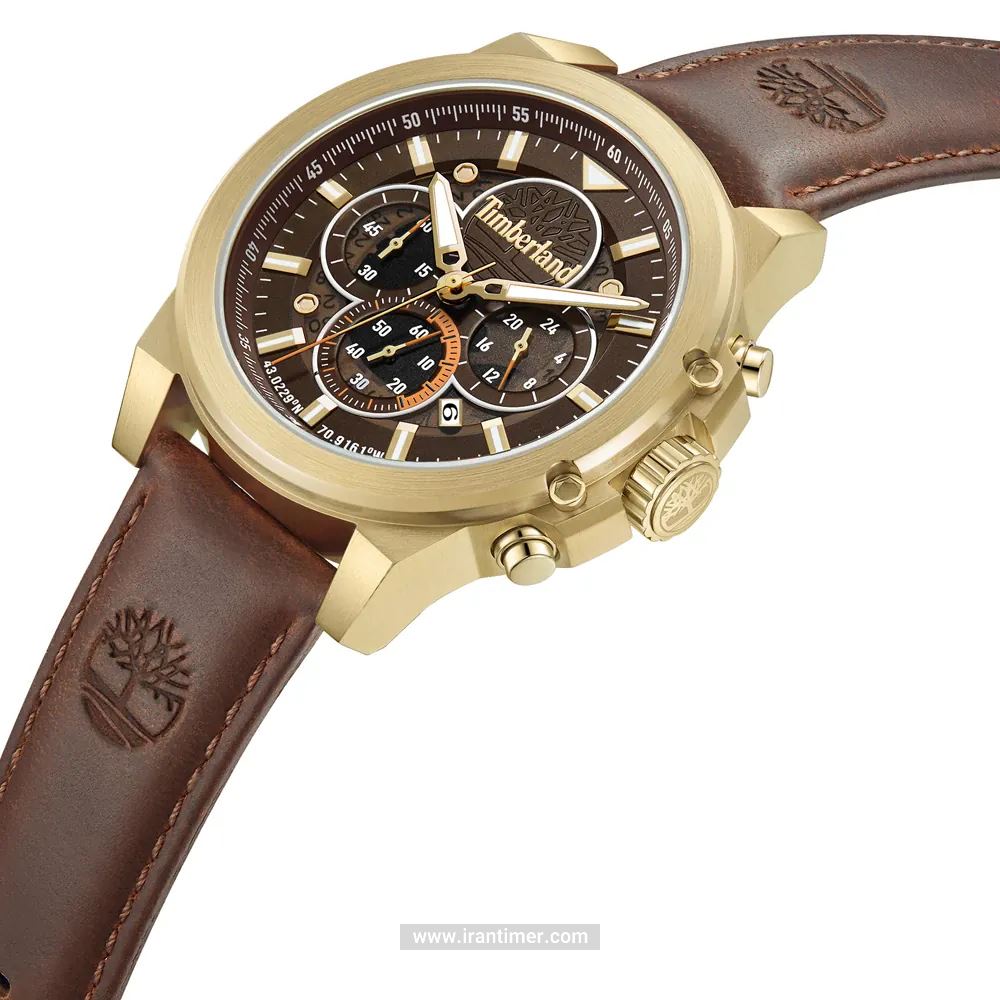 قیمت و خرید ساعت مچی مردانه تیمبرلند(TIMBERLAND) مدل TDWGB0056002 اسپرت | اورجینال و اصلی