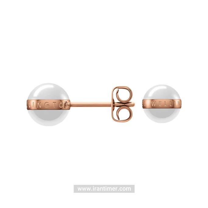 قیمت و خرید گوشواره زنانه دنیل ولینگتون(DANIEL WELLINGTON) مدل DW00400152 کلاسیک | اورجینال و اصلی