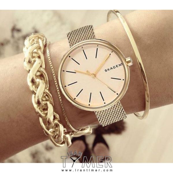 قیمت و خرید ساعت مچی زنانه اسکاگن(SKAGEN) مدل SKW2614 کلاسیک | اورجینال و اصلی