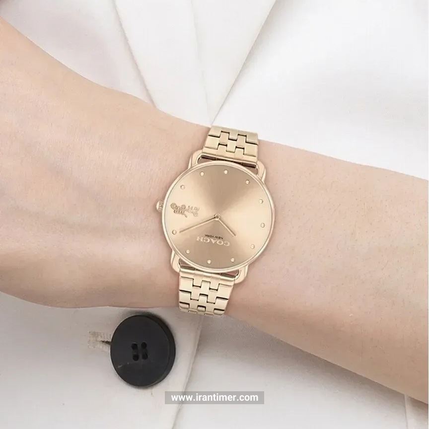 قیمت و خرید ساعت مچی زنانه کوچ(Coach) مدل 14504292 کلاسیک | اورجینال و اصلی