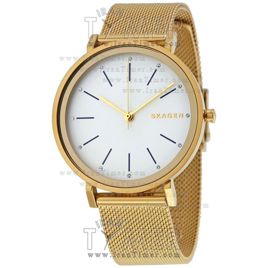 قیمت و خرید ساعت مچی زنانه اسکاگن(SKAGEN) مدل SKW2509 کلاسیک | اورجینال و اصلی