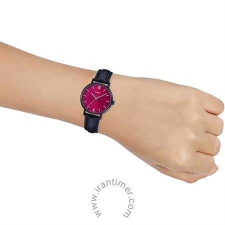 قیمت و خرید ساعت مچی زنانه کاسیو (CASIO) جنرال مدل LTP-VT02BL-4AUDF کلاسیک | اورجینال و اصلی