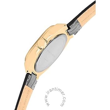 قیمت و خرید ساعت مچی مردانه فرنچ کانکشن(FRENCH CONNECTION) مدل FCA14BL کلاسیک | اورجینال و اصلی