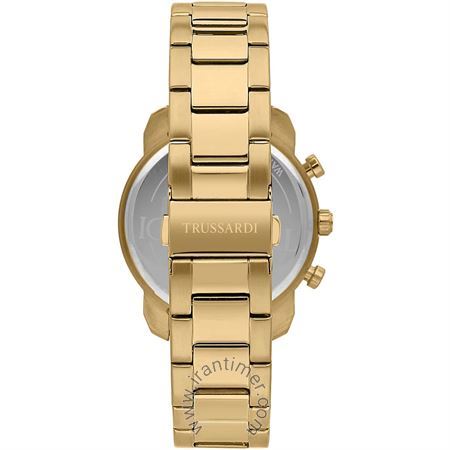 قیمت و خرید ساعت مچی مردانه تروساردی(TRUSSARDI) مدل R2453154001 کلاسیک | اورجینال و اصلی