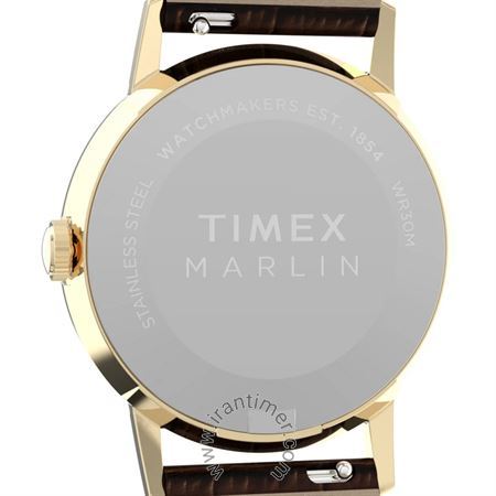 قیمت و خرید ساعت مچی زنانه تایمکس(TIMEX) مدل TW2Y37800 کلاسیک | اورجینال و اصلی