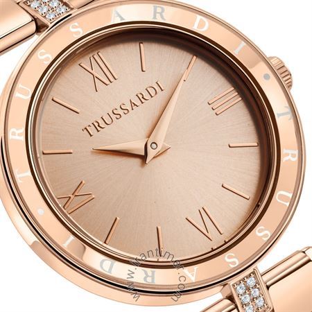 قیمت و خرید ساعت مچی زنانه تروساردی(TRUSSARDI) مدل R2453145509 کلاسیک فشن | اورجینال و اصلی