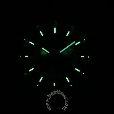 قیمت و خرید ساعت مچی مردانه کاسیو (CASIO) مدل EFB-730D-2AVUDF کلاسیک | اورجینال و اصلی