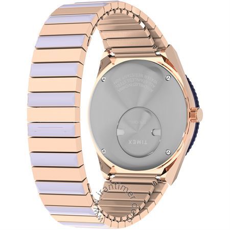 قیمت و خرید ساعت مچی زنانه تایمکس(TIMEX) مدل TW2W87700 کلاسیک | اورجینال و اصلی