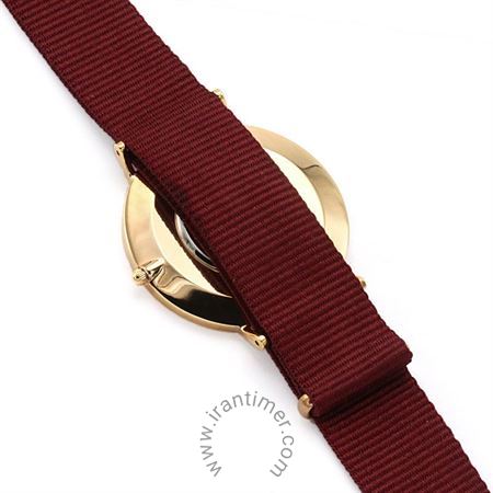 قیمت و خرید ساعت مچی مردانه دنیل ولینگتون(DANIEL WELLINGTON) مدل DW00100269 کلاسیک | اورجینال و اصلی