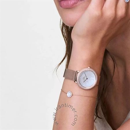 قیمت و خرید ساعت مچی زنانه دنیل ولینگتون(DANIEL WELLINGTON) مدل DW00100823 فشن | اورجینال و اصلی
