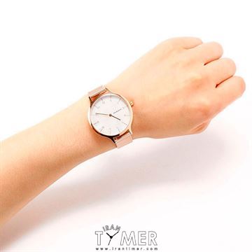 قیمت و خرید ساعت مچی زنانه اسکاگن(SKAGEN) مدل SKW2633 کلاسیک | اورجینال و اصلی