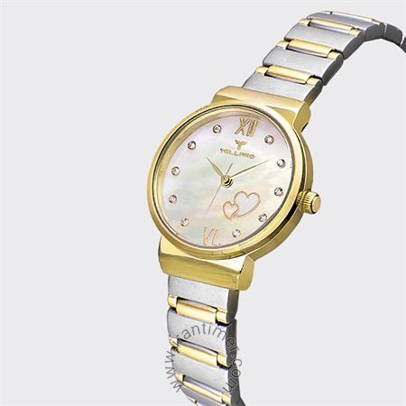 قیمت و خرید ساعت مچی زنانه تلارو(Tellaro) مدل T3062L-S252525 کلاسیک | اورجینال و اصلی