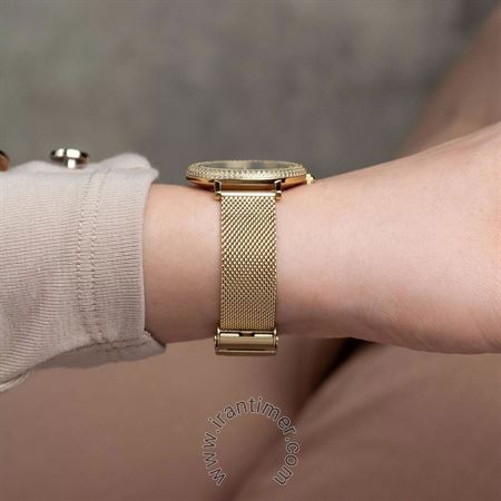 قیمت و خرید ساعت مچی زنانه دنیل ولینگتون(DANIEL WELLINGTON) مدل DW00100824 فشن | اورجینال و اصلی