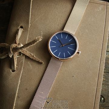 SKAGEN SKW2593