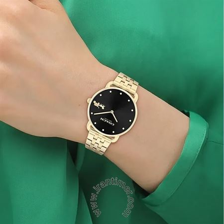 قیمت و خرید ساعت مچی زنانه کوچ(Coach) مدل 14504291 کلاسیک | اورجینال و اصلی