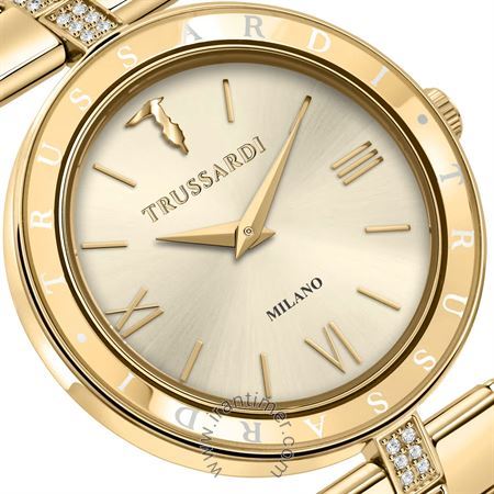قیمت و خرید ساعت مچی زنانه تروساردی(TRUSSARDI) مدل R2453145508 کلاسیک فشن | اورجینال و اصلی
