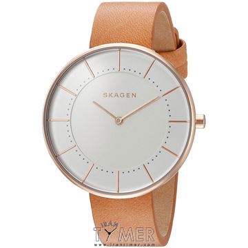 قیمت و خرید ساعت مچی زنانه اسکاگن(SKAGEN) مدل SKW2558 کلاسیک | اورجینال و اصلی