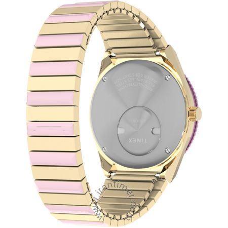 قیمت و خرید ساعت مچی زنانه تایمکس(TIMEX) مدل TW2W87600 کلاسیک | اورجینال و اصلی