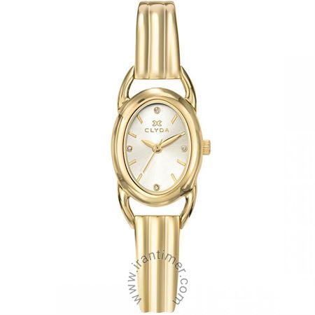 قیمت و خرید ساعت مچی زنانه کلیدا(Clyda) مدل CLA0238PTIW کلاسیک | اورجینال و اصلی