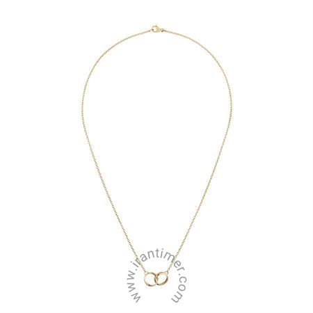 قیمت و خرید گردنبند زنانه دنیل ولینگتون(DANIEL WELLINGTON) مدل DW00400219 کلاسیک | اورجینال و اصلی