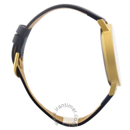 قیمت و خرید ساعت مچی مردانه دنیش دیزاین(Danish Design) مدل IQ81Q1273 کلاسیک | اورجینال و اصلی