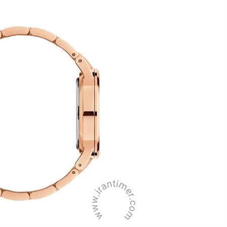 قیمت و خرید ساعت مچی زنانه دنیل ولینگتون(DANIEL WELLINGTON) مدل DW00100462 کلاسیک | اورجینال و اصلی