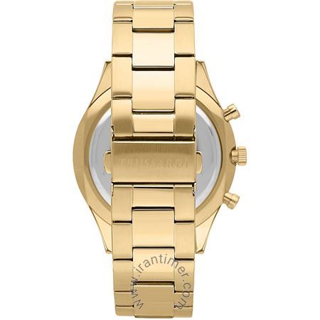 قیمت و خرید ساعت مچی مردانه تروساردی(TRUSSARDI) مدل R2453143011 کلاسیک | اورجینال و اصلی