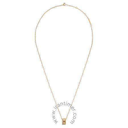 قیمت و خرید گردنبند زنانه دنیل ولینگتون(DANIEL WELLINGTON) مدل DW00400266 کلاسیک | اورجینال و اصلی