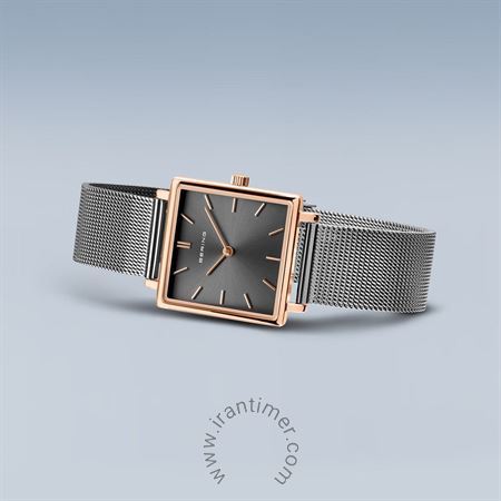 قیمت و خرید ساعت مچی زنانه برینگ(BERING) مدل B18226-369 کلاسیک | اورجینال و اصلی
